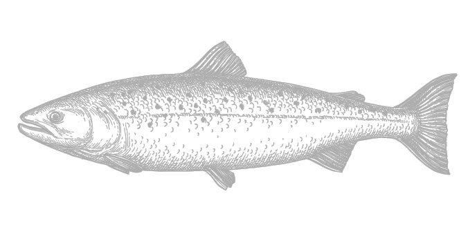 Are you a Savy Non-GMO Shopper?