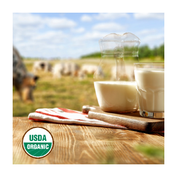 Glass of milk with cows in the background