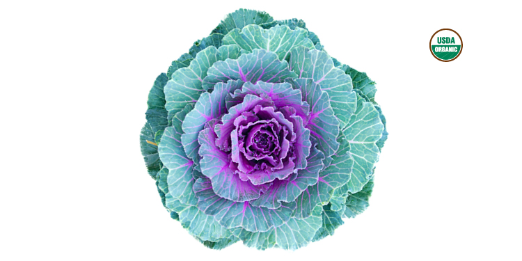 asparagus and cabbage