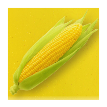 Image of corn