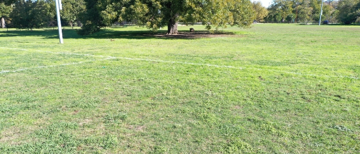 Beyond Pesticides Zilker Metropolitan Park - Austin, TX