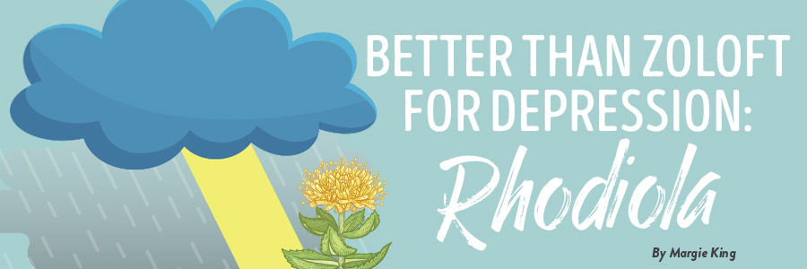 Depression Herbs or Drugs Featured Image 1