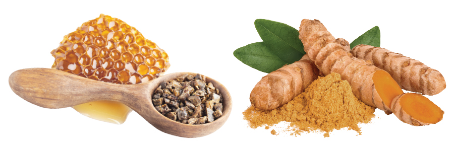 PROPOLIS Improves Cognition in Elderly Subjects with Age-Related Cognitive Decline