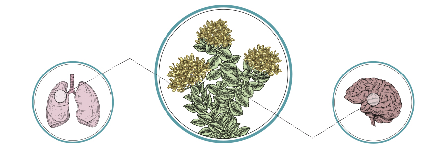 June Nutrition Bytes