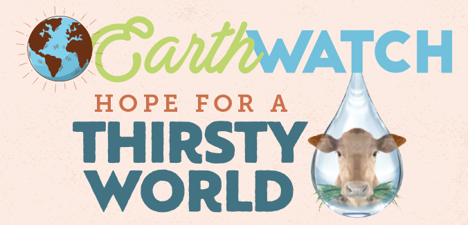 Earth Watch: Hope for a Thirsty World - How grass-fed cows can help restore health to the water cycle 