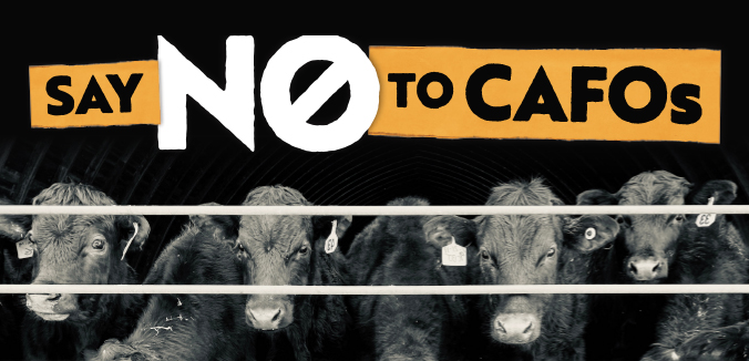 Say NO to CAFOs