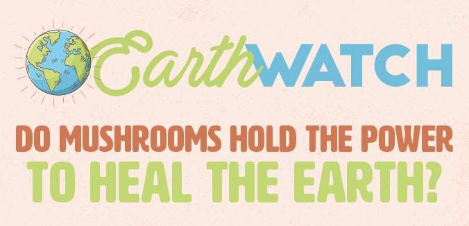 Earth Watch: Do Mushrooms Hold the Power to Heal the Earth?