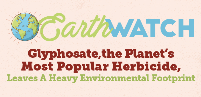 Earth Watch: Glyphosate, The Planet's Most Popular Herbicide, Leaves A Heavy Environmental Footprint