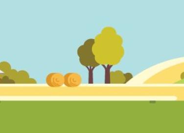 where_you_purchase_food_matters