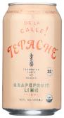 Tepache Grapefruit Lime Org 12 Oz