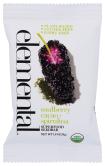 Seedbar Mulberry Cacao Org 1.8 Oz