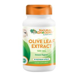 Olive Leaf Extract 500 Mg 90 Veg