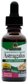 Astragalus Root 1 Oz