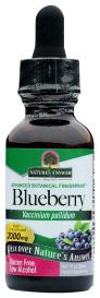 Blueberry Leaf 1 Oz