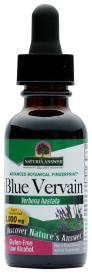 Blue Vervain 1 Oz