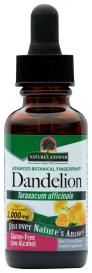 Dandelion Root 1 Oz