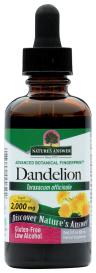 Dandelion Root 2 Oz