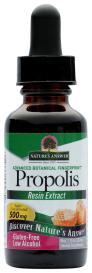 Propolis 1 Oz
