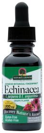 Af Echinacea/grape 1 Oz