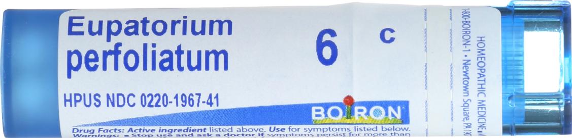 Eupatorium Perfoliat 6c 80 Tab