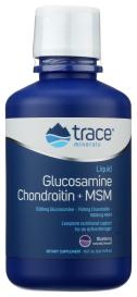 Liquid Gluc/chond/msm 16 Oz