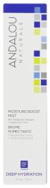 Age Defy Moisture Boost Mist 6 Oz