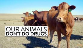 100% Humanely and Consciously Raised Meats