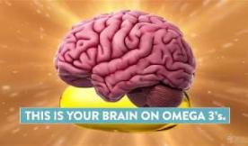 This is Your Brain on Omega 3’s
